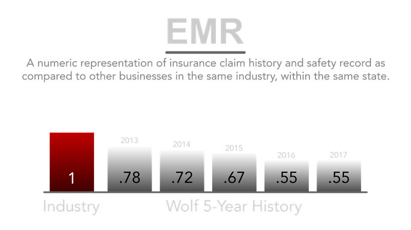 2017.05.30 - EMR - Light.png